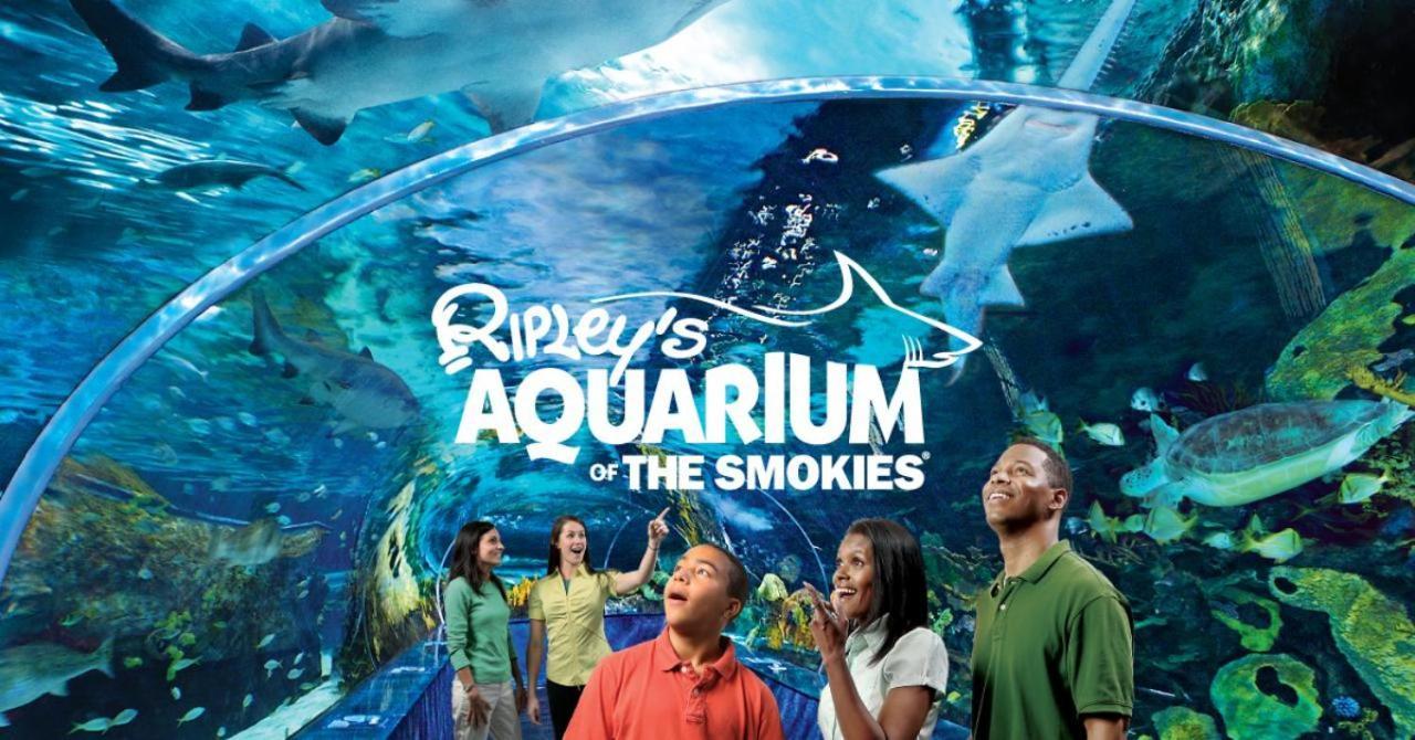 ガトリンバーグ Smoky Mountain Viewsヴィラ エクステリア 写真